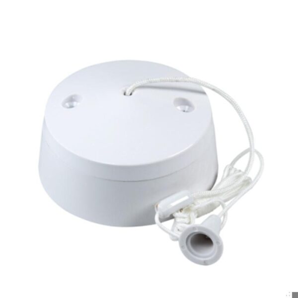 Ceiling Switch 10A 2W (Pull cord)